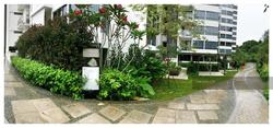 skies-miltonia photo thumbnail #14